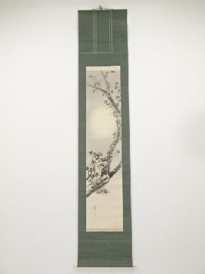 今井景樹筆　朧月桜花　肉筆絹本掛軸（共箱・二重箱）